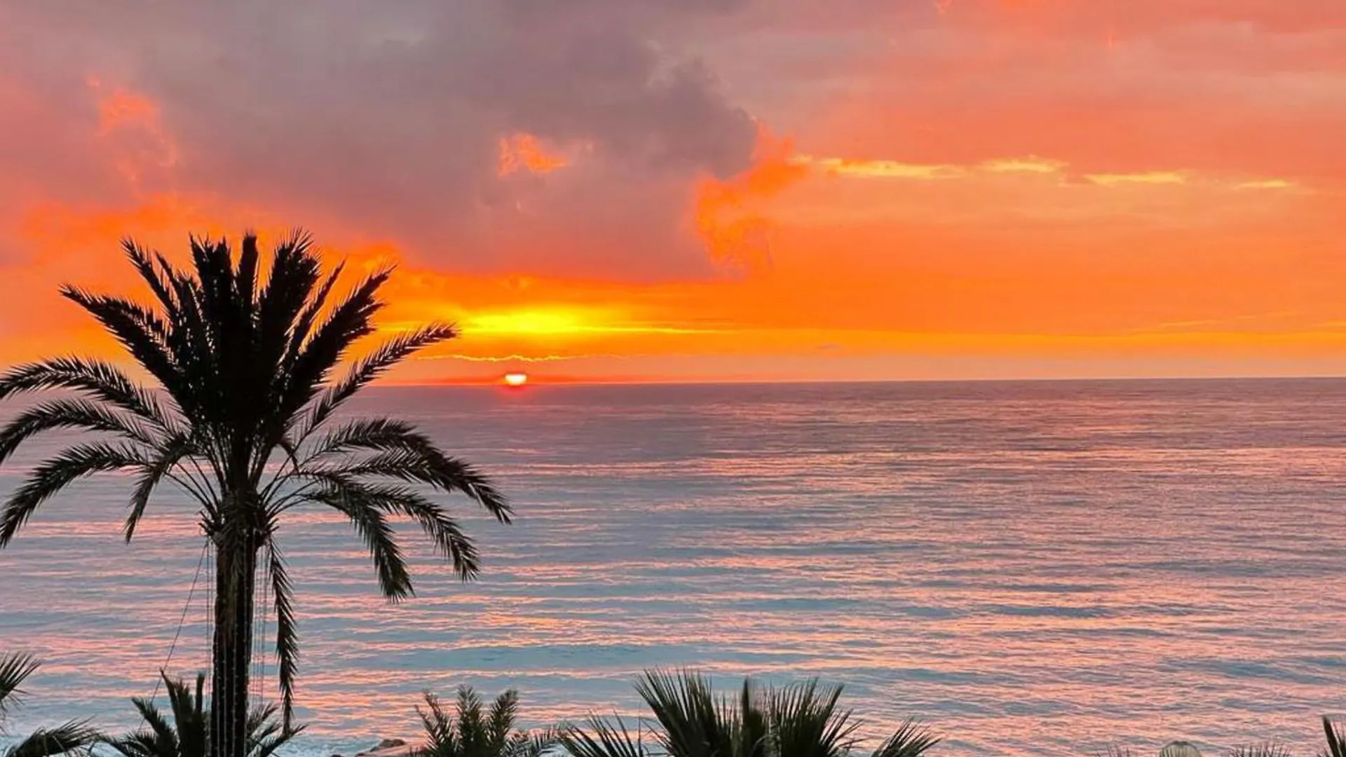 Seafront Apartment For 6 Promenade Des Anglais 尼斯 0*,